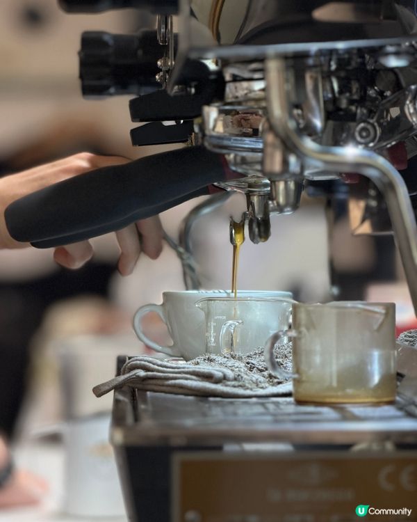 北角Cafe☕️ 天鵝駱駝拉花💖🤤