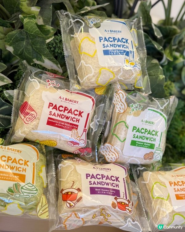估唔到野餐咁輕鬆！🥪🧺