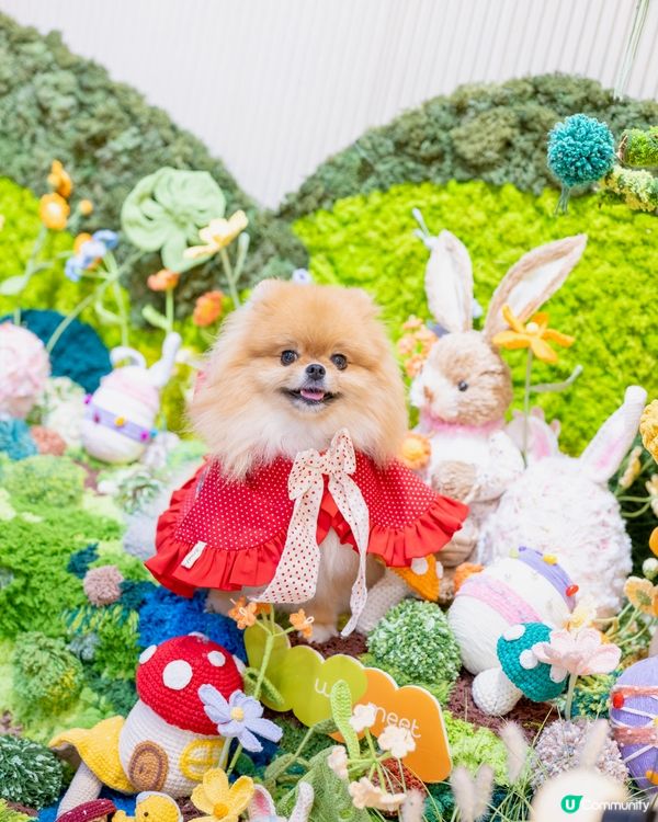 小紅帽米蘇蘇遊森林