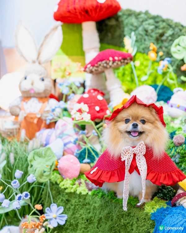 小紅帽米蘇蘇遊森林