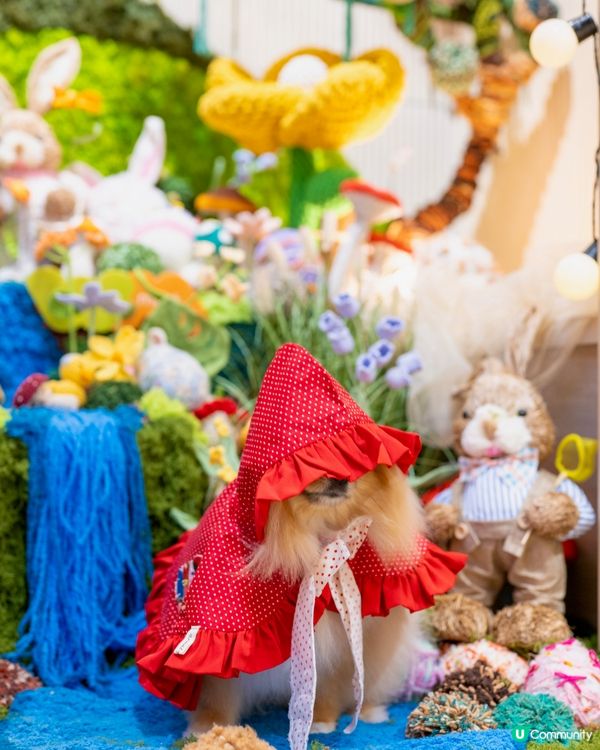 小紅帽米蘇蘇遊森林