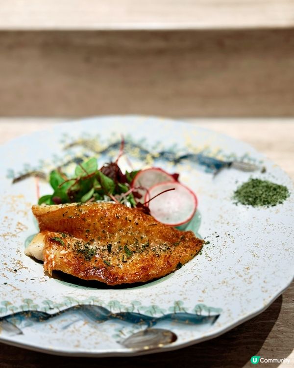 觀塘 升級廚師發辦