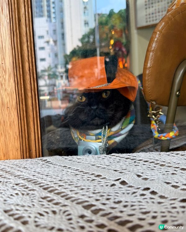 多次回訪嘅一間真寵物友善餐廳🫶🏿