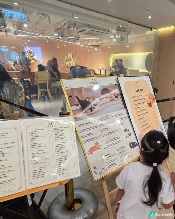 萌寵聚會！荔枝角貓café 🥰🐈
