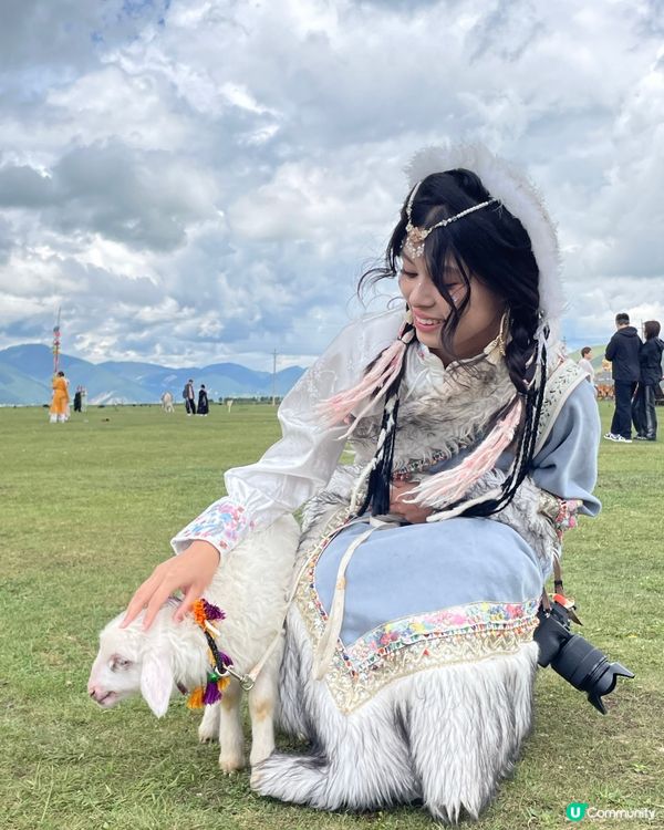 🐏香格里拉･納帕海草原|抱小羊+穿藏服,呢度係仙境無誤!