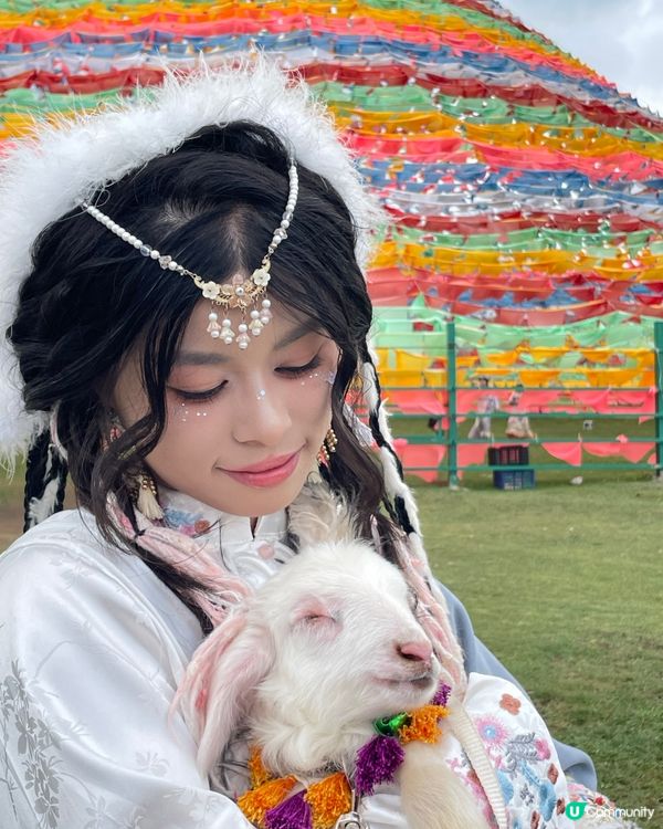🐏香格里拉･納帕海草原|抱小羊+穿藏服,呢度係仙境無誤!