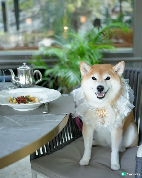 🍸週末儀式感滿滿既Brunch Time🥂