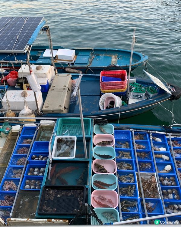 西貢隱藏60年老字號！自己買海鮮師傅即煮，鮮到爆炸🦀