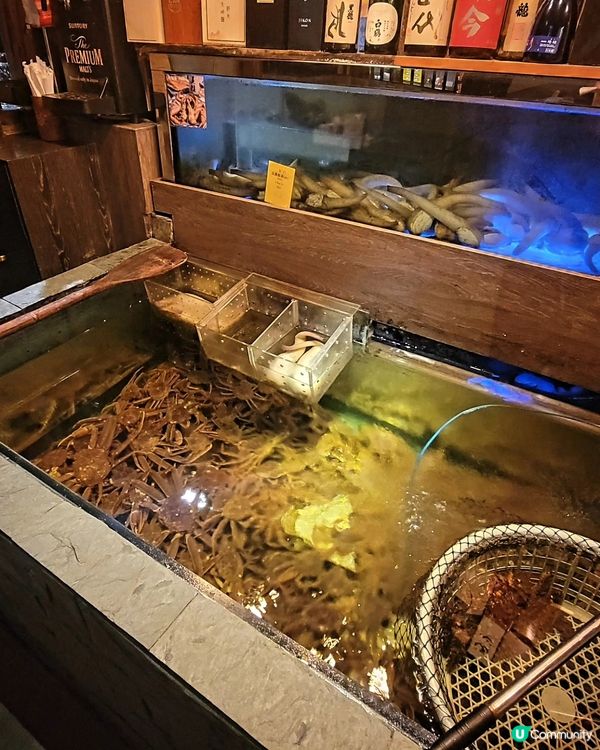 尖沙咀日式居酒屋🍣🌊 星期一仲有75折
