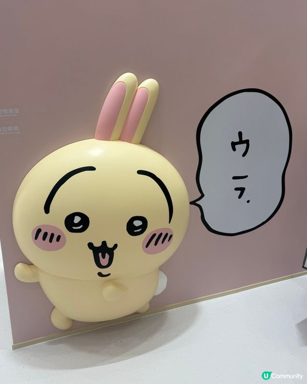 香港首間Chiikawa常設店開幕啦！