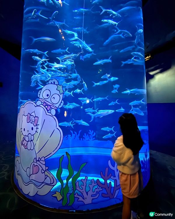 海洋公園x Sanrio❤️❤️