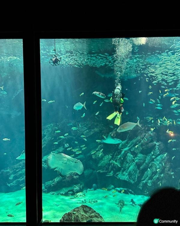 海之中道
