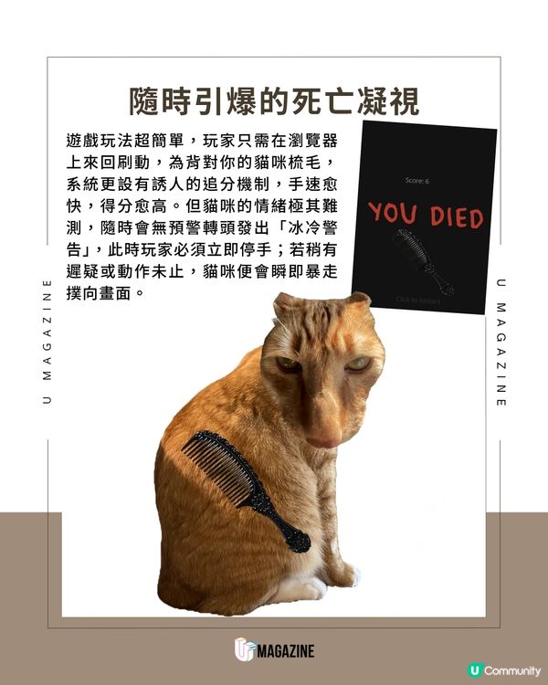 韓國爆紅貓咪遊戲《Brush Jjaemu》挑戰玩家反應極限                                                    