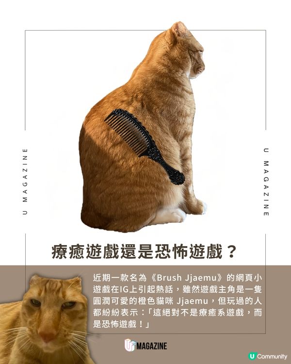 韓國爆紅貓咪遊戲《Brush Jjaemu》挑戰玩家反應極限                                                    