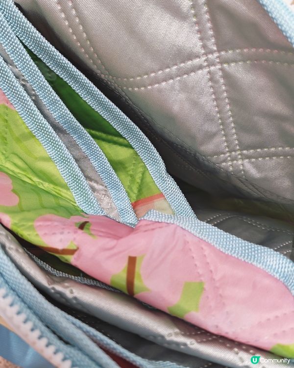 🌸春天野餐懶人必備！Pacpack三文治＋防水 手挽袋野餐