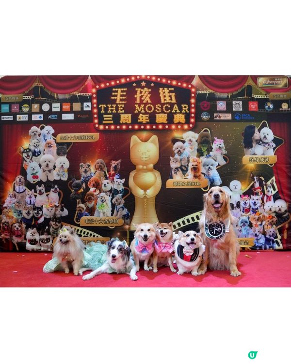 全港首個毛孩櫻花飄飄活動