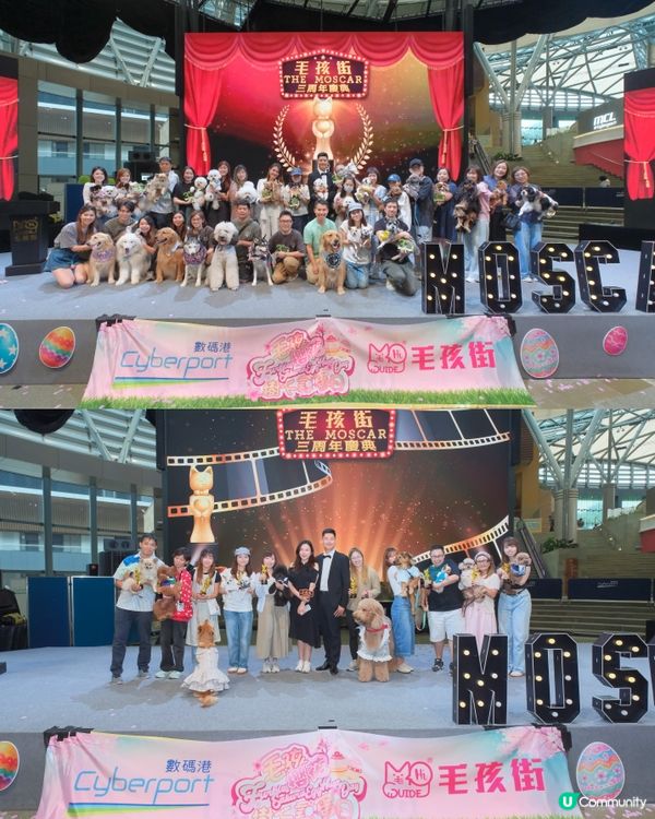全港首個毛孩櫻花飄飄活動