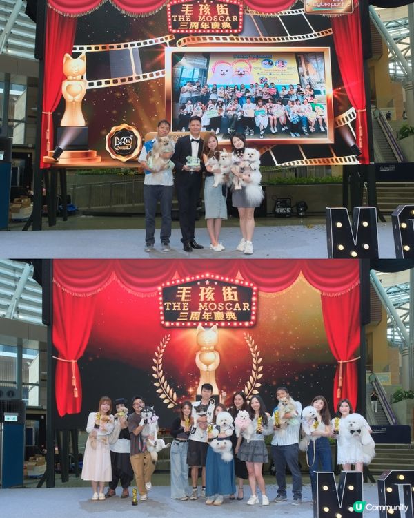 全港首個毛孩櫻花飄飄活動