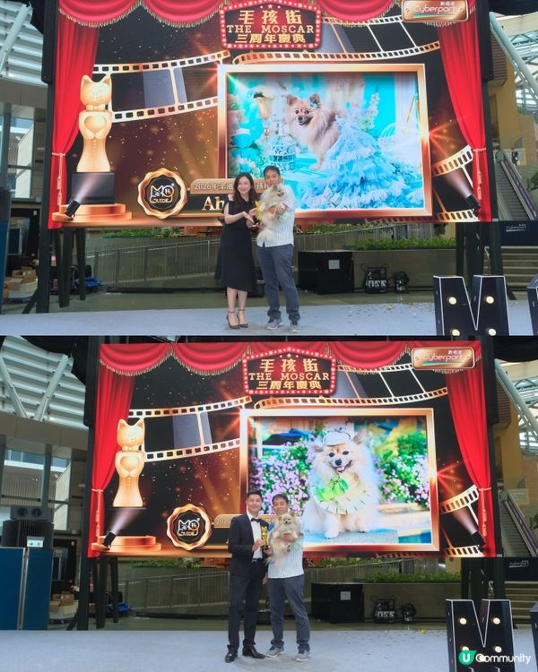 全港首個毛孩櫻花飄飄活動