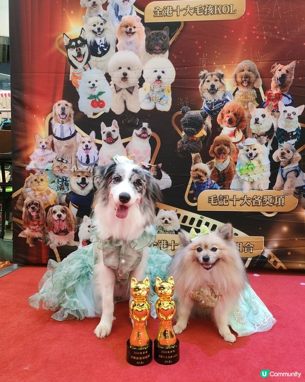 全港首個毛孩櫻花飄飄活動