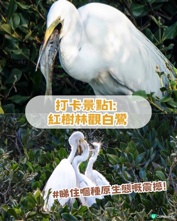 2026年五一黃金周避世4大景點！民國風古鎮/廣東版馬爾代夫