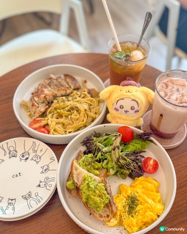 香港美食｜手工意粉店推介，貓咪塗鴉主題小店