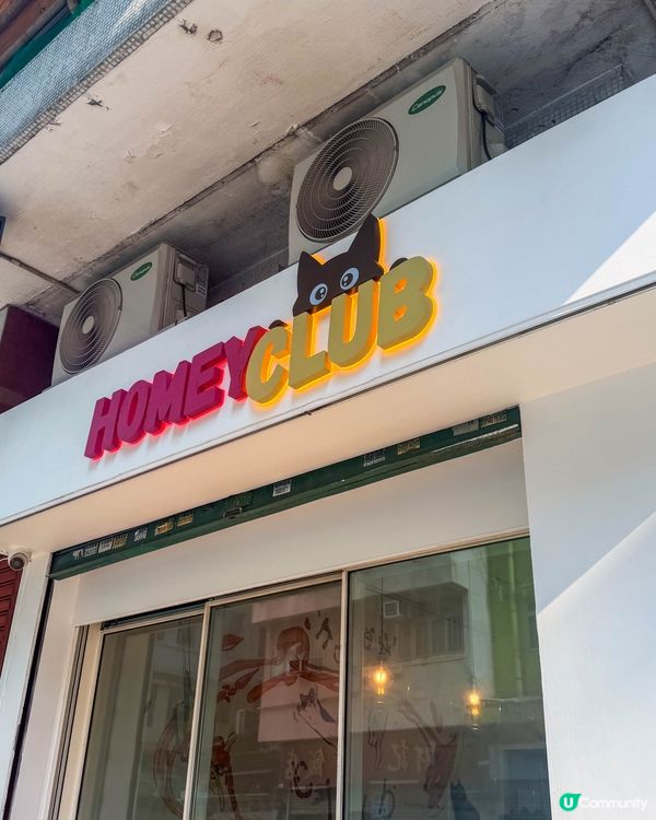 香港美食｜手工意粉店推介，貓咪塗鴉主題小店