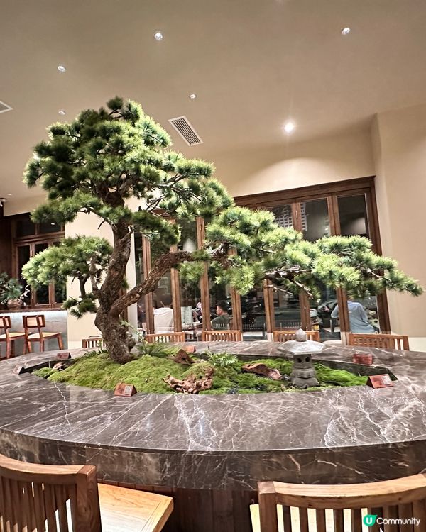 中山好去處。松雲。