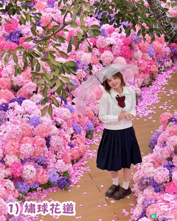 深圳大梅沙1000m²繡球花海🌸鄰近Outlet、地鐵站！附3大打卡位及影相姿勢參考