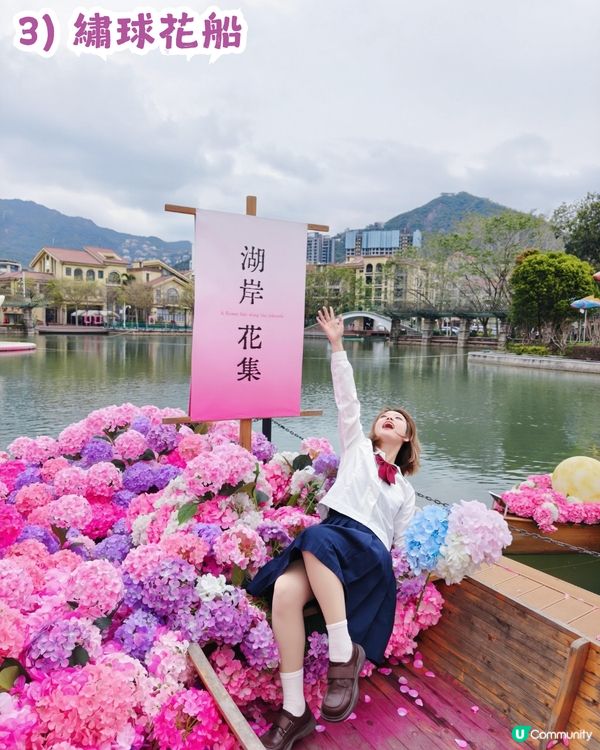 深圳大梅沙1000m²繡球花海🌸鄰近Outlet、地鐵站！附3大打卡位及影相姿勢參考