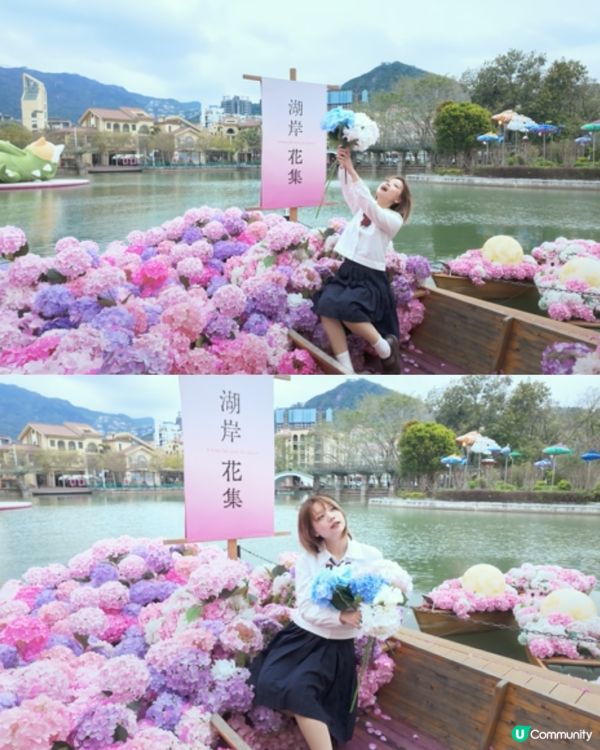 深圳大梅沙1000m²繡球花海🌸鄰近Outlet、地鐵站！附3大打卡位及影相姿勢參考