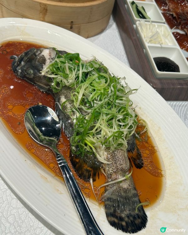 豪宴薈粵菜：頂級滋味🌟🍲
