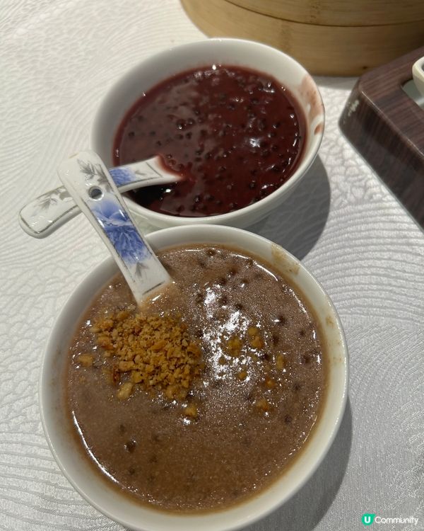 豪宴薈粵菜：頂級滋味🌟🍲