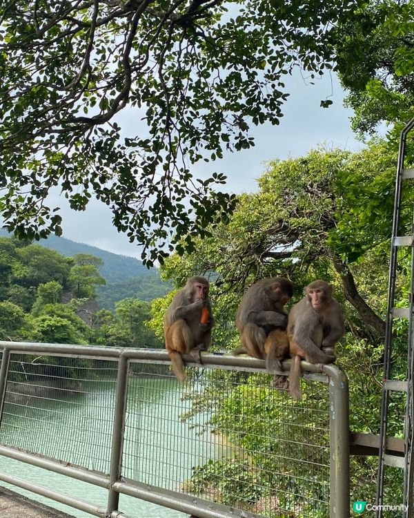 帶孩子一起遊金山郊野公園