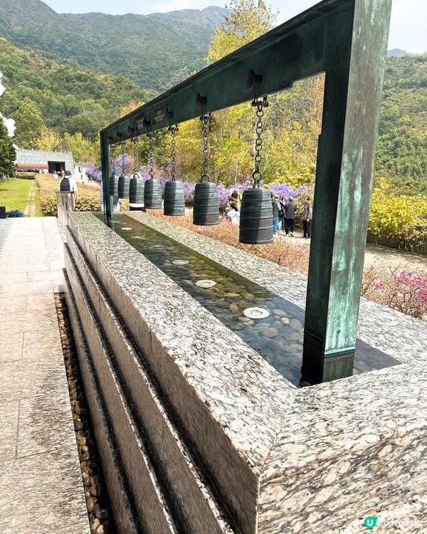 香港超靚世外桃源✨洗滌心靈慈山寺半天遊 ✨