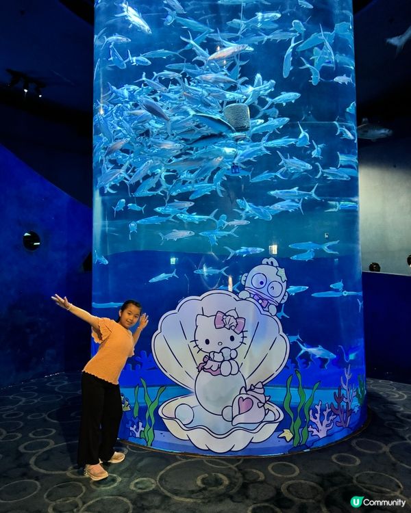 瘋狂打卡！蔚藍海洋變身Sanrio樂園🩵🐬