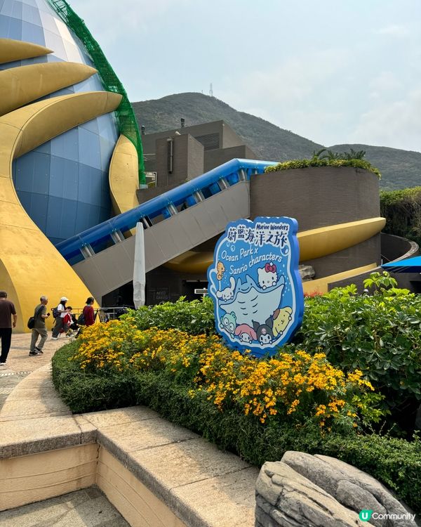 瘋狂打卡！蔚藍海洋變身Sanrio樂園🩵🐬