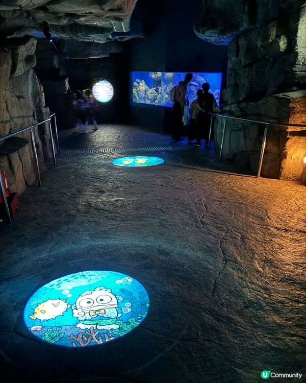 瘋狂打卡！蔚藍海洋變身Sanrio樂園🩵🐬