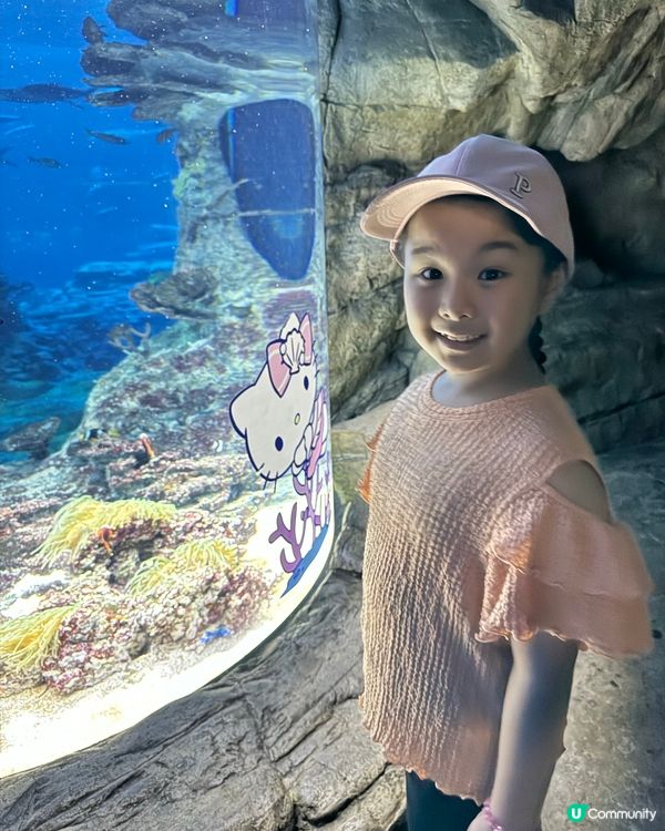 瘋狂打卡！蔚藍海洋變身Sanrio樂園🩵🐬