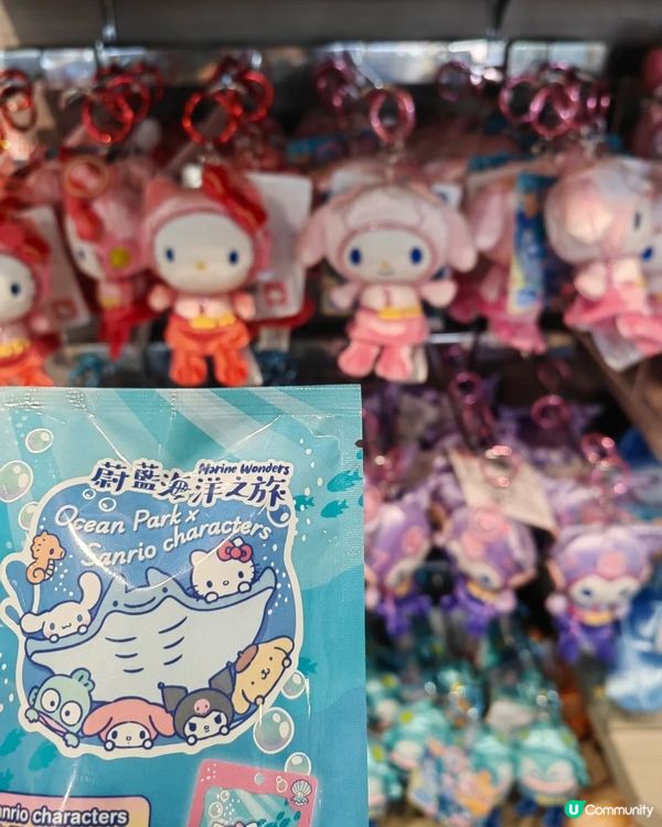 瘋狂打卡！蔚藍海洋變身Sanrio樂園🩵🐬