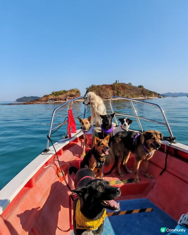 狗狗旅行團！🐾鴨洲、荔枝窩、吉澳、沙頭角🐕