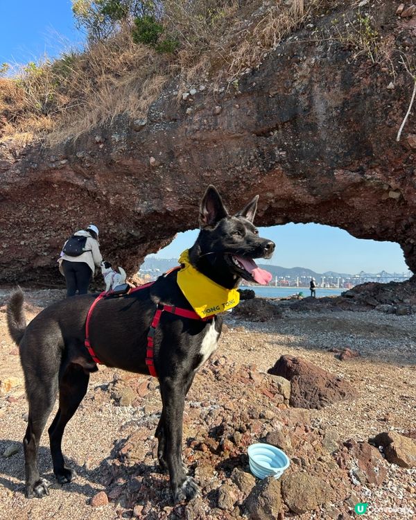 狗狗旅行團！🐾鴨洲、荔枝窩、吉澳、沙頭角🐕