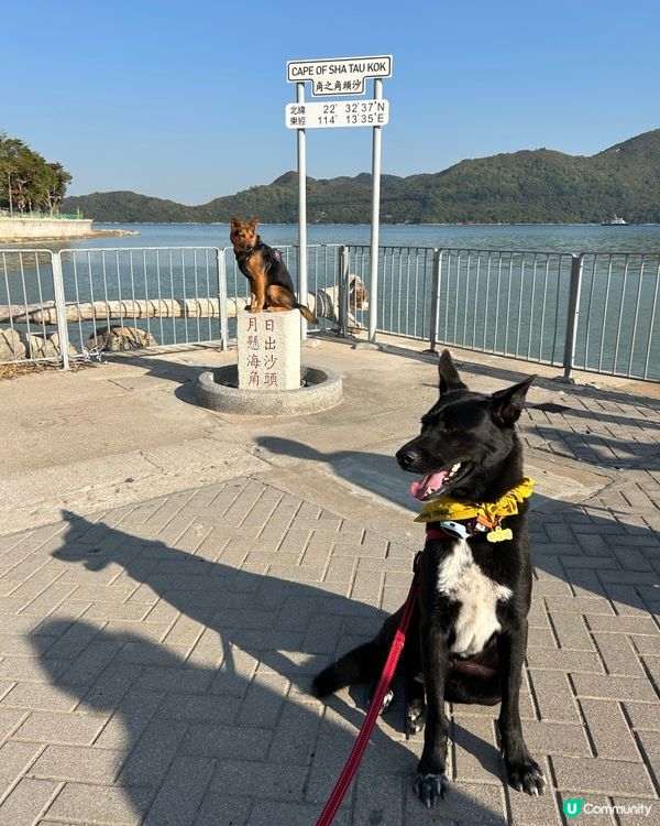 狗狗旅行團！🐾鴨洲、荔枝窩、吉澳、沙頭角🐕