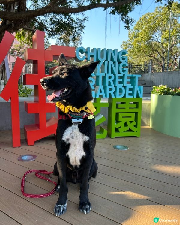 狗狗旅行團！🐾鴨洲、荔枝窩、吉澳、沙頭角🐕