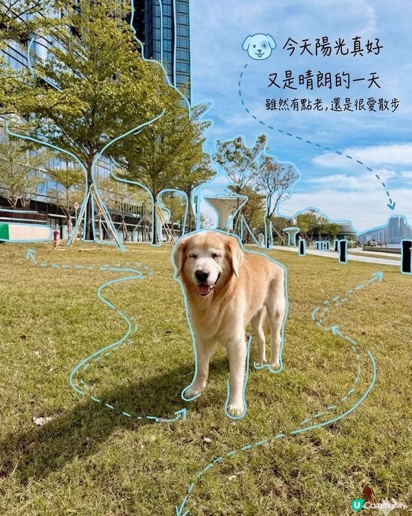 期待16歲的來臨