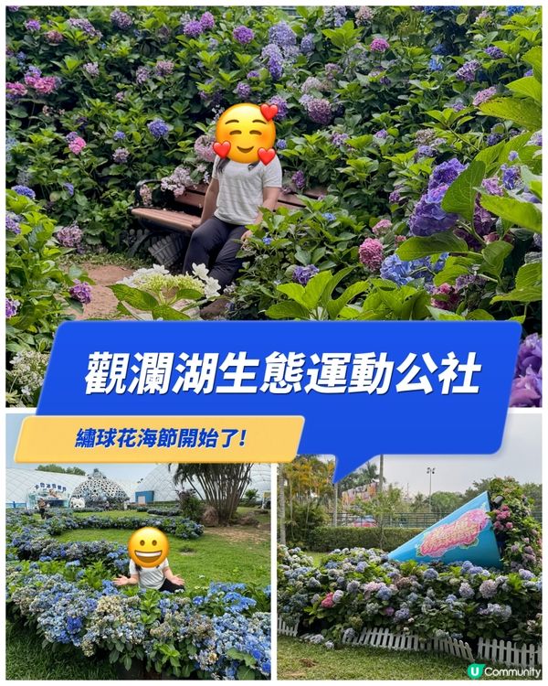 觀瀾湖生態運動公社繡球花海節開始了！
