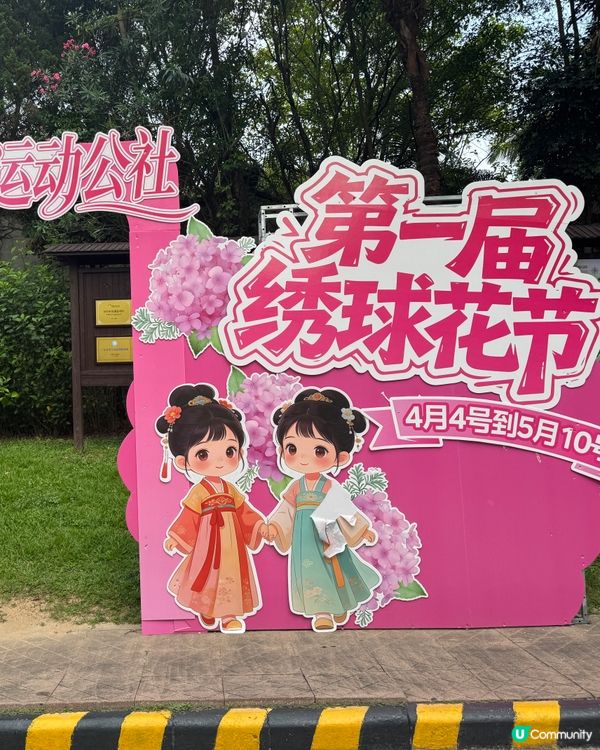 觀瀾湖生態運動公社繡球花海節開始了！