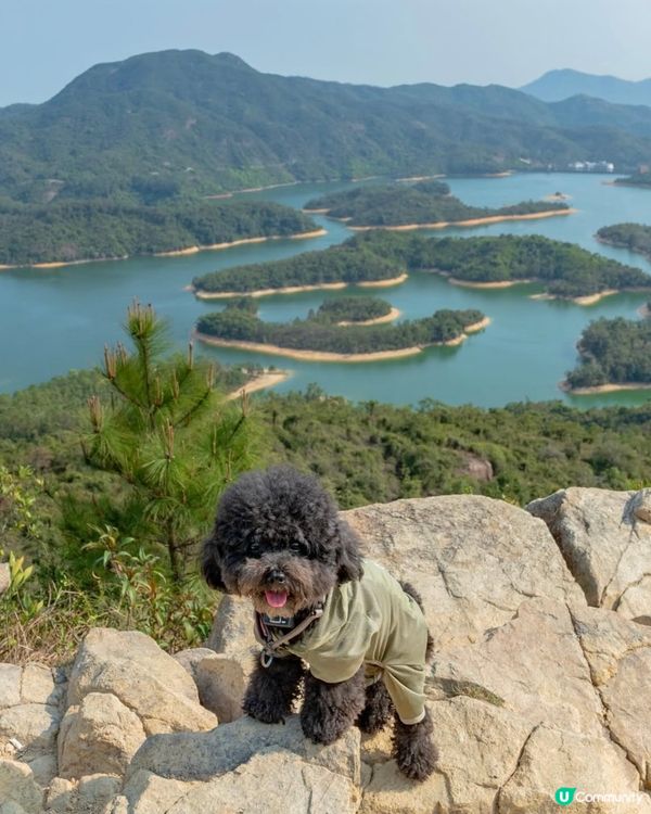 港版千島湖🏞️初級行山路線+水塘美景