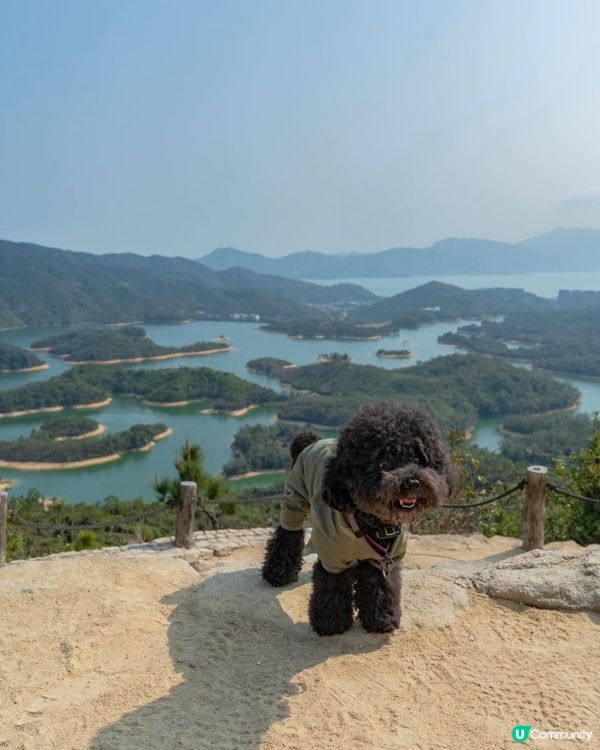 港版千島湖🏞️初級行山路線+水塘美景
