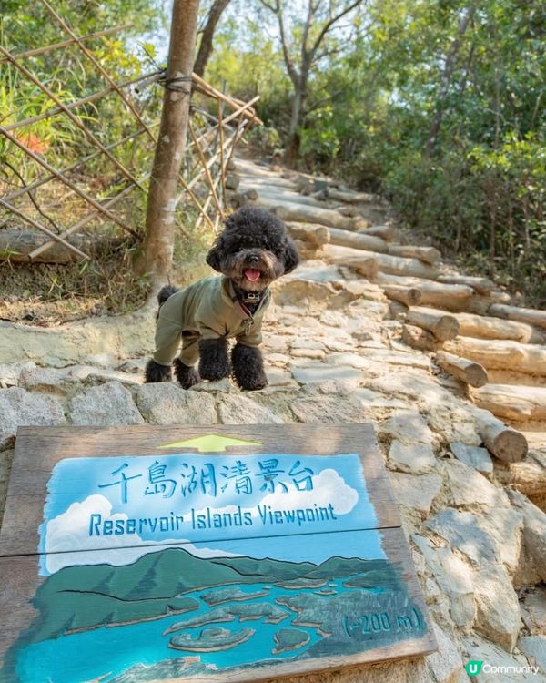 港版千島湖🏞️初級行山路線+水塘美景